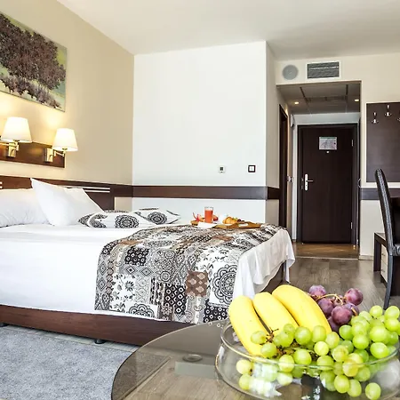 Hotel Grami 4*