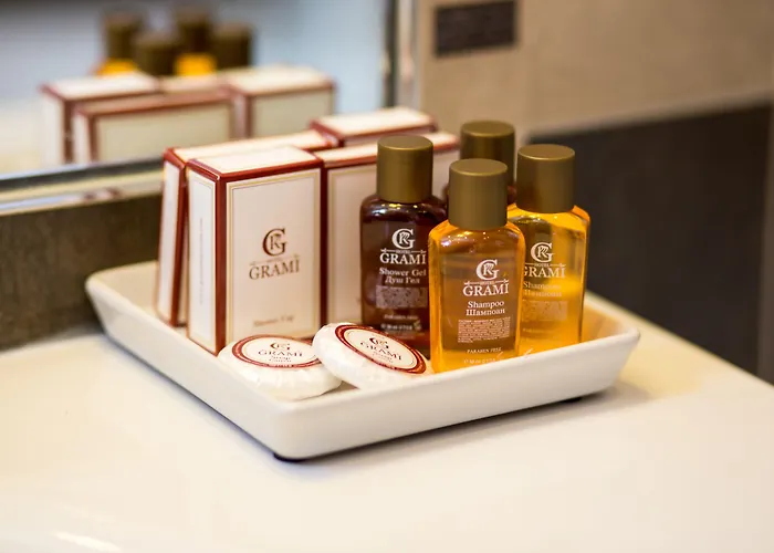 грами София